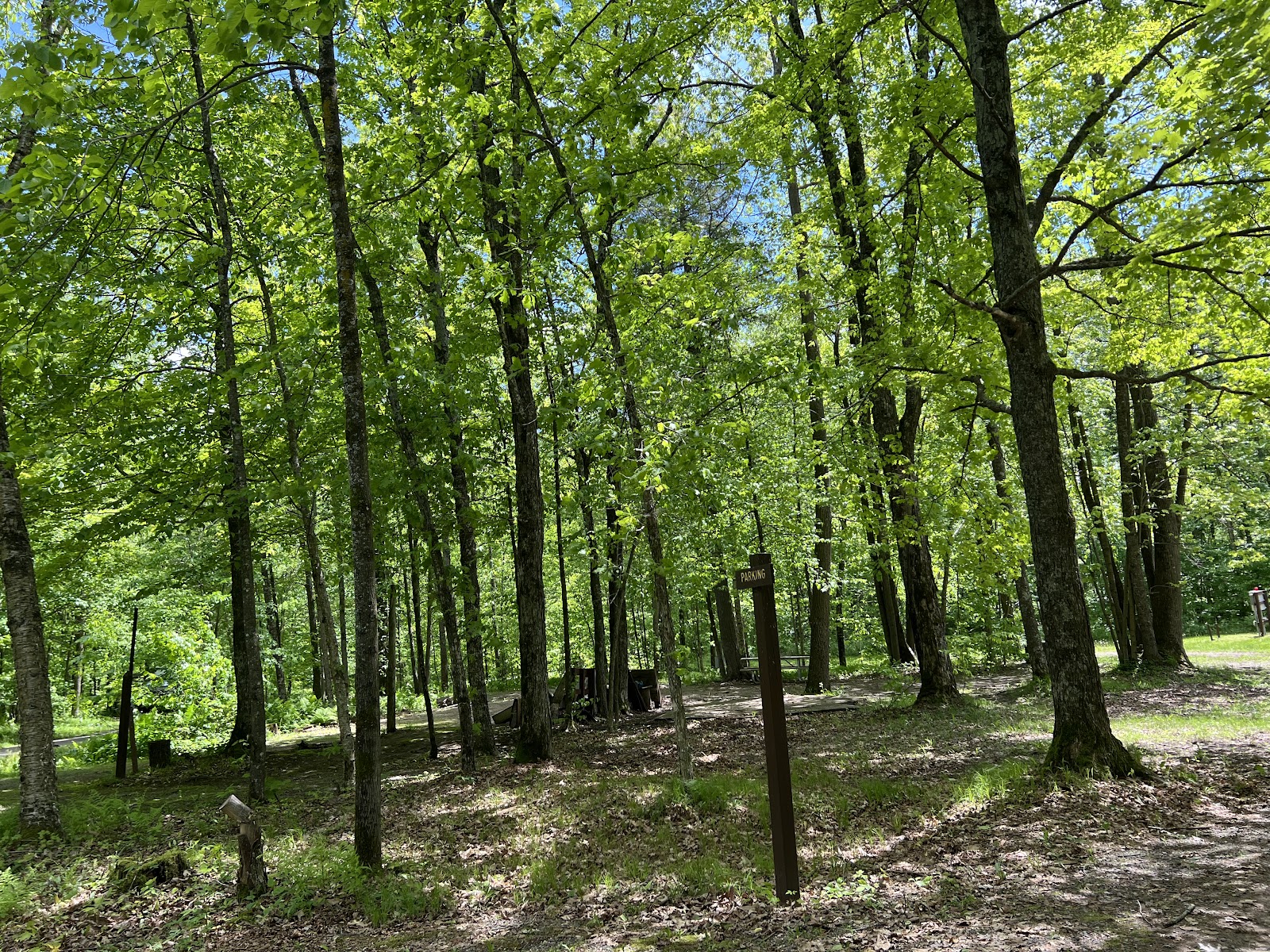 Namekagon NF Campground