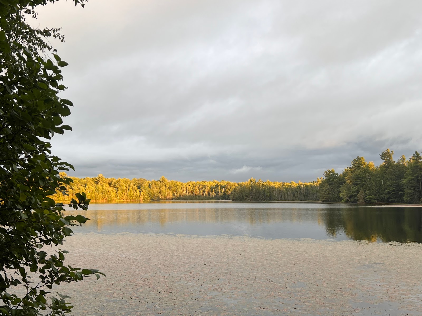 Perch Lake NF Campground