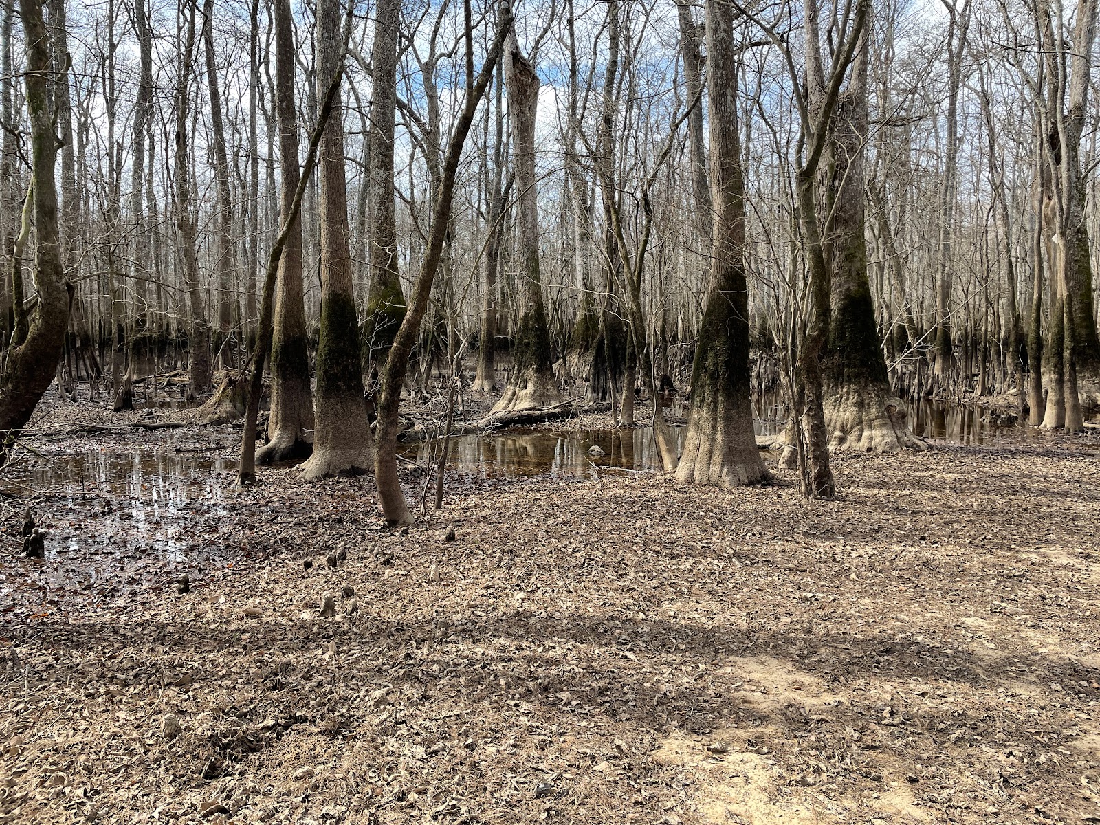 Marsh Wildlife Management Area