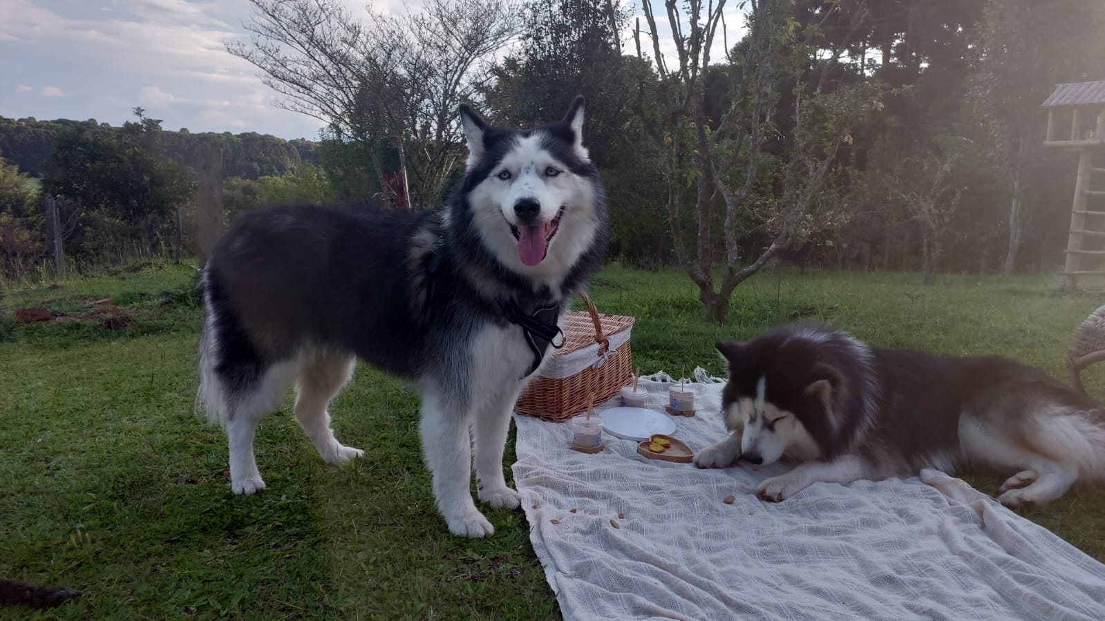 Bureau of Land Management