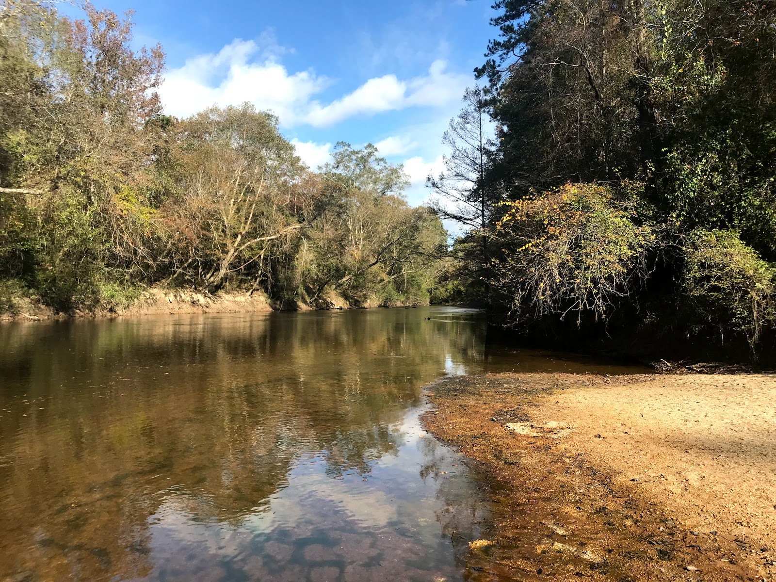 Moodys Landing NF Campground