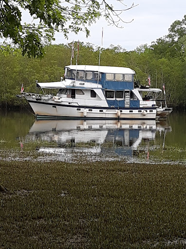 Foscue Creek Camping