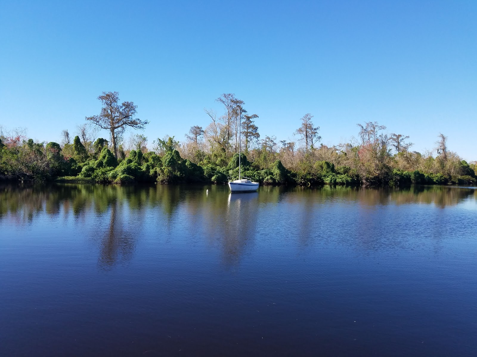 Lettuce Lake Travel Resort