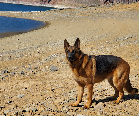 Indian Creek - Lake Owyhee State Park