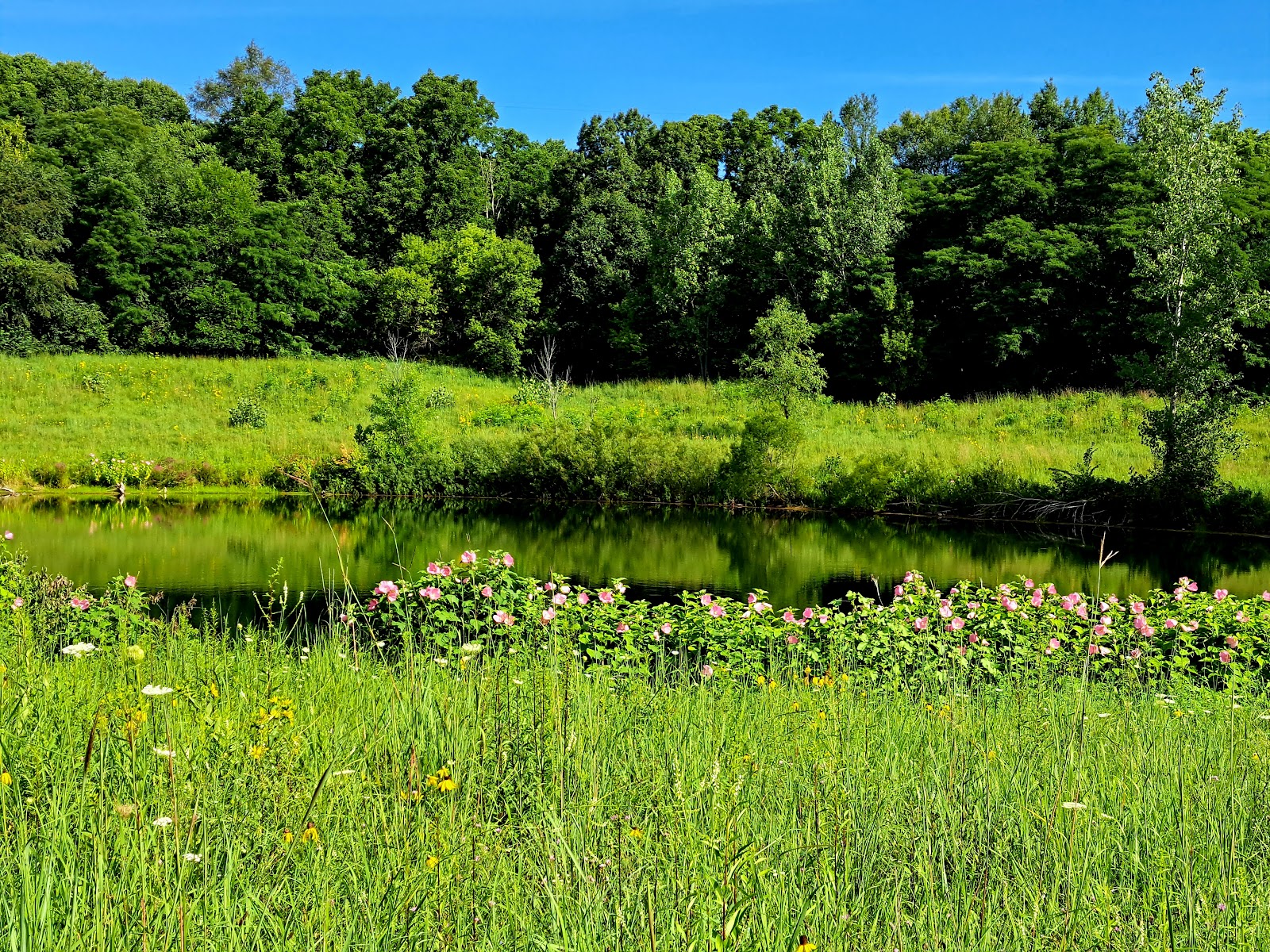 Markin Glen County Park