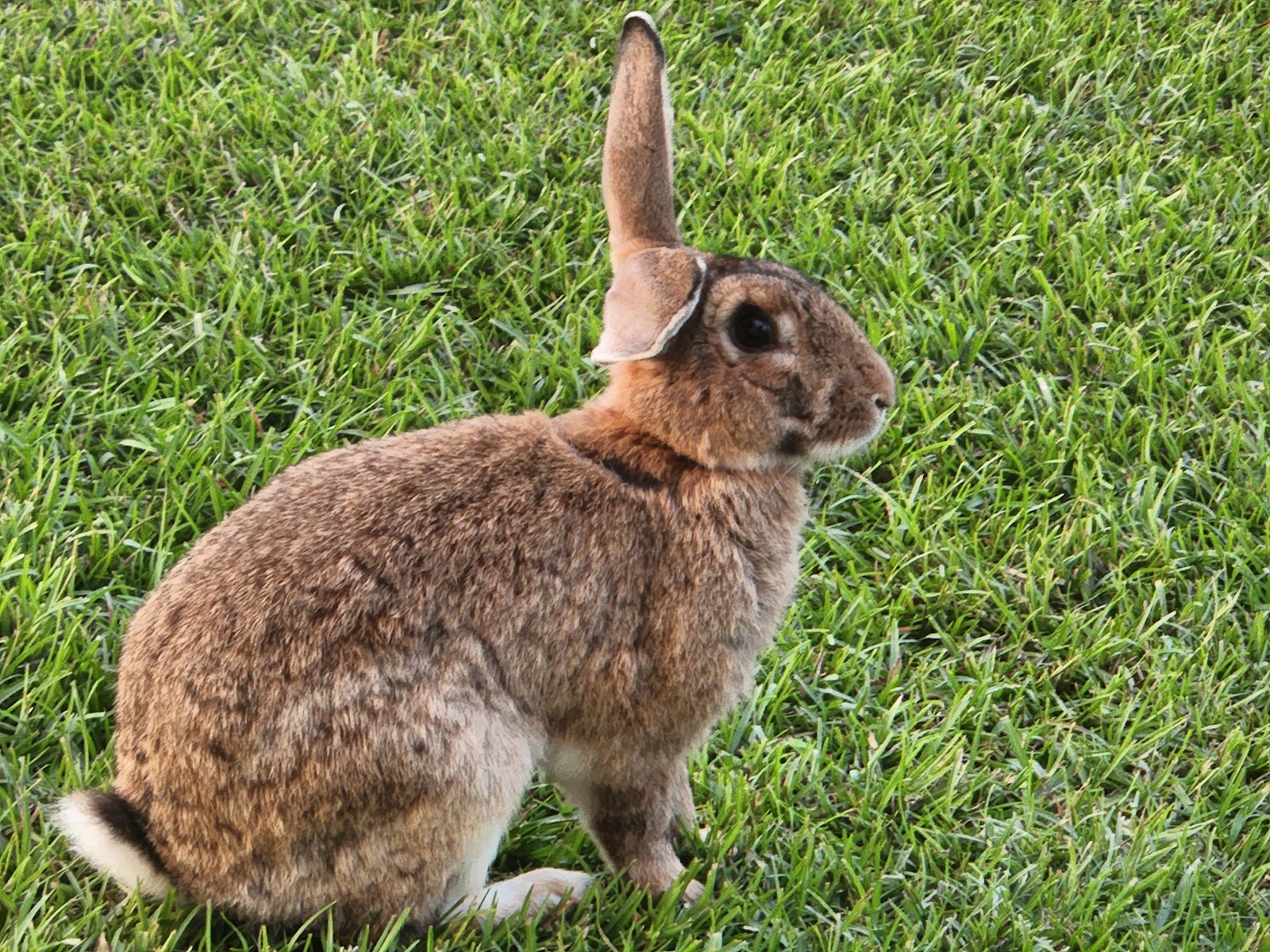 Rocks Pond Campground