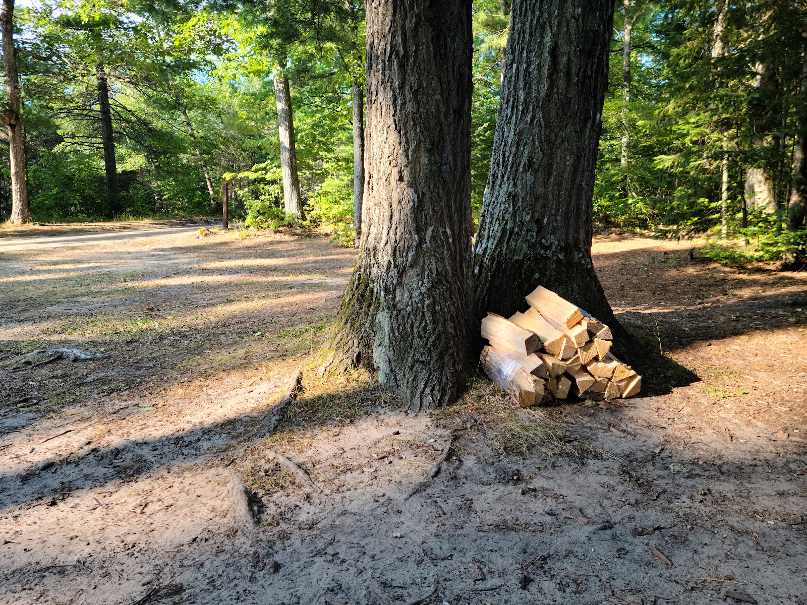 Reed and Green Bridge SF Campground