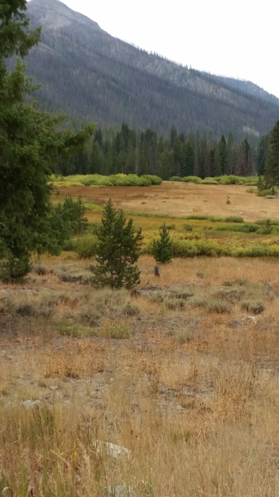 East Fork Baker Creek Campground