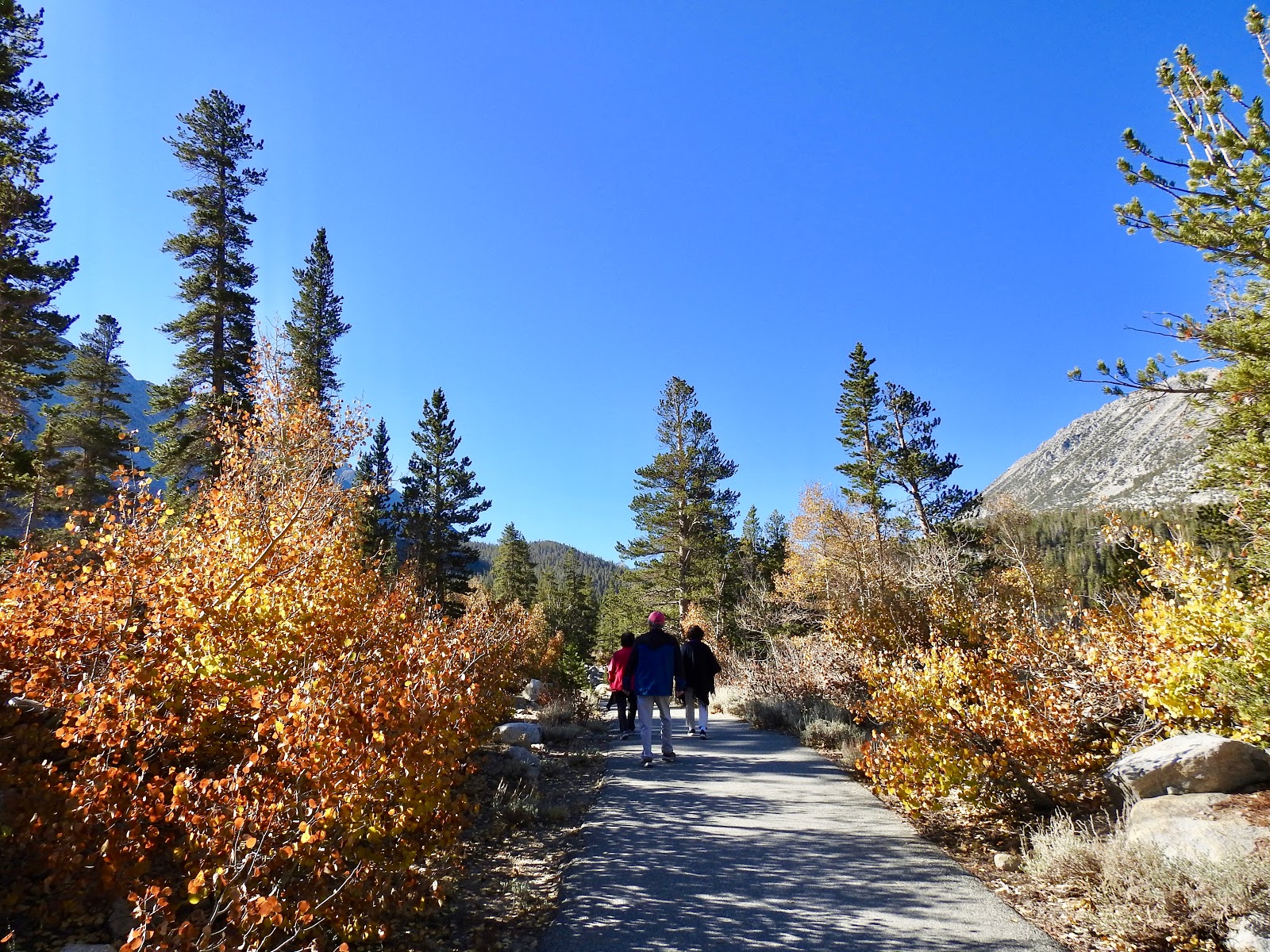 Rock Creek Lake Campground