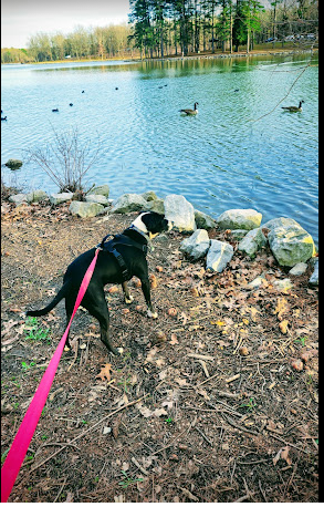 Craighead Forest Park