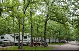 Campground 1 - St Joe State Park