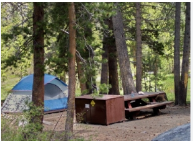 Forks Campground (Inyo)