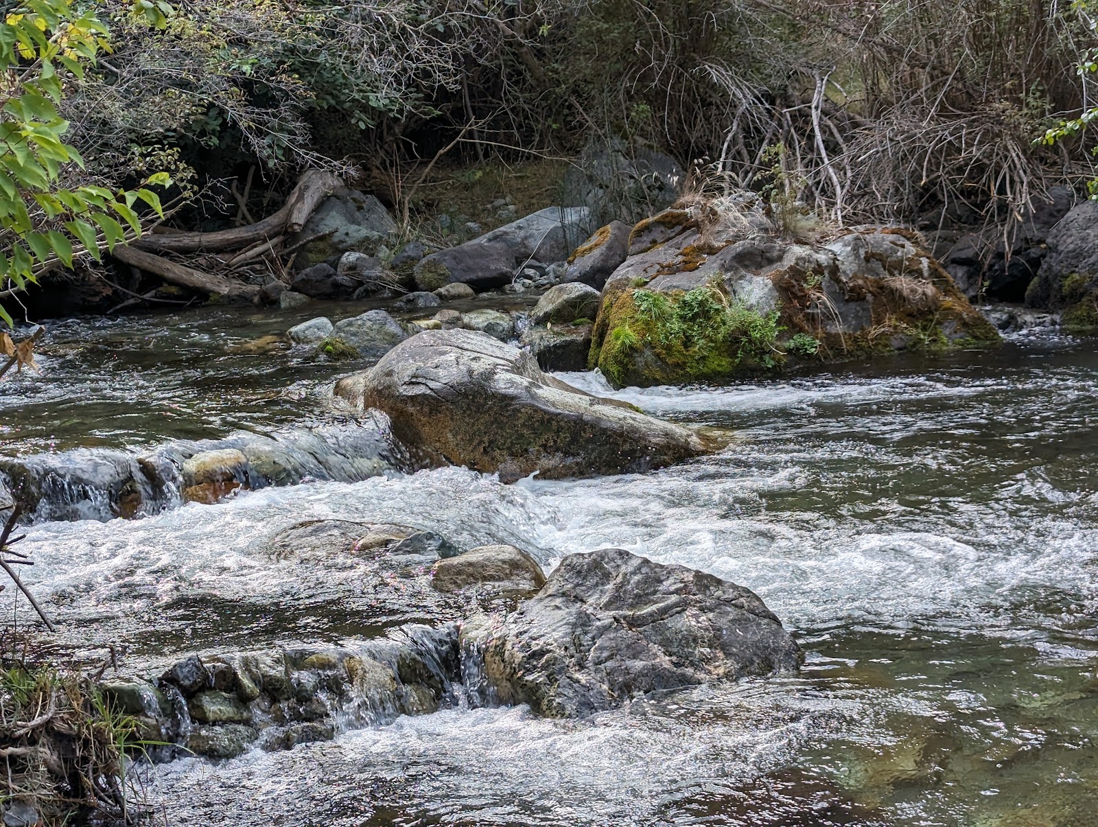PO Saddle Campground