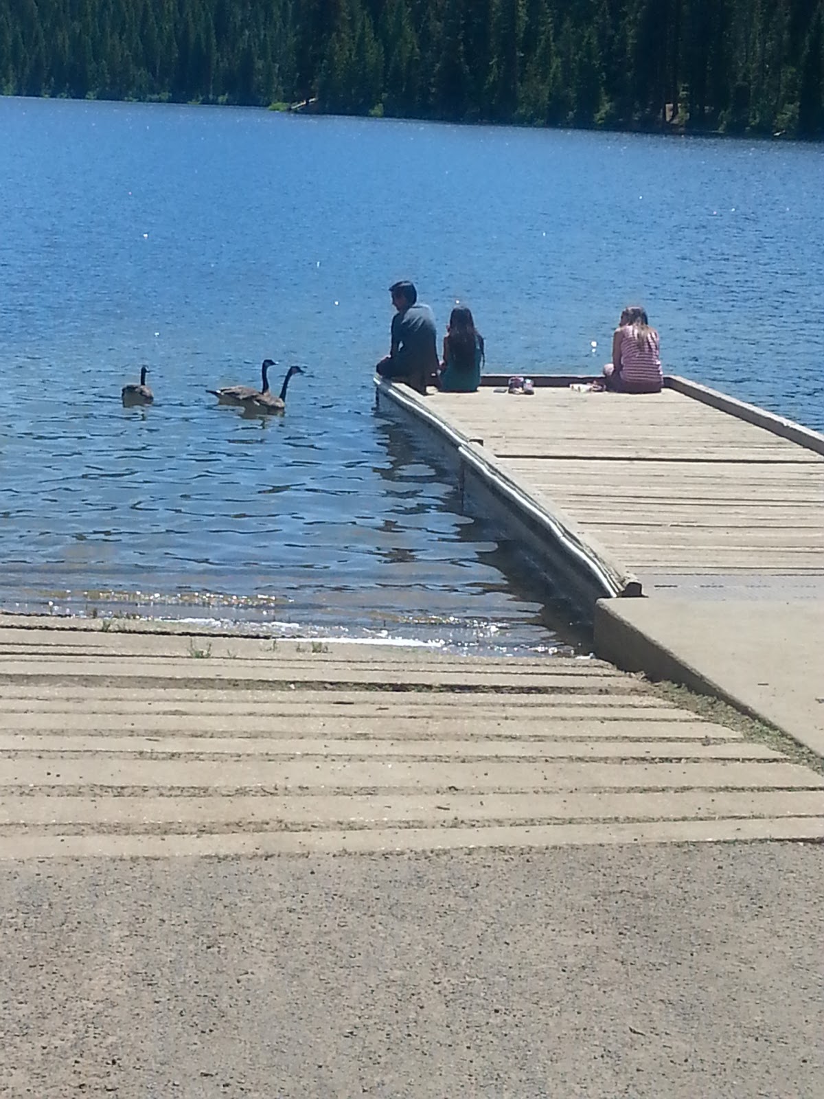 Sagehen Creek Campground