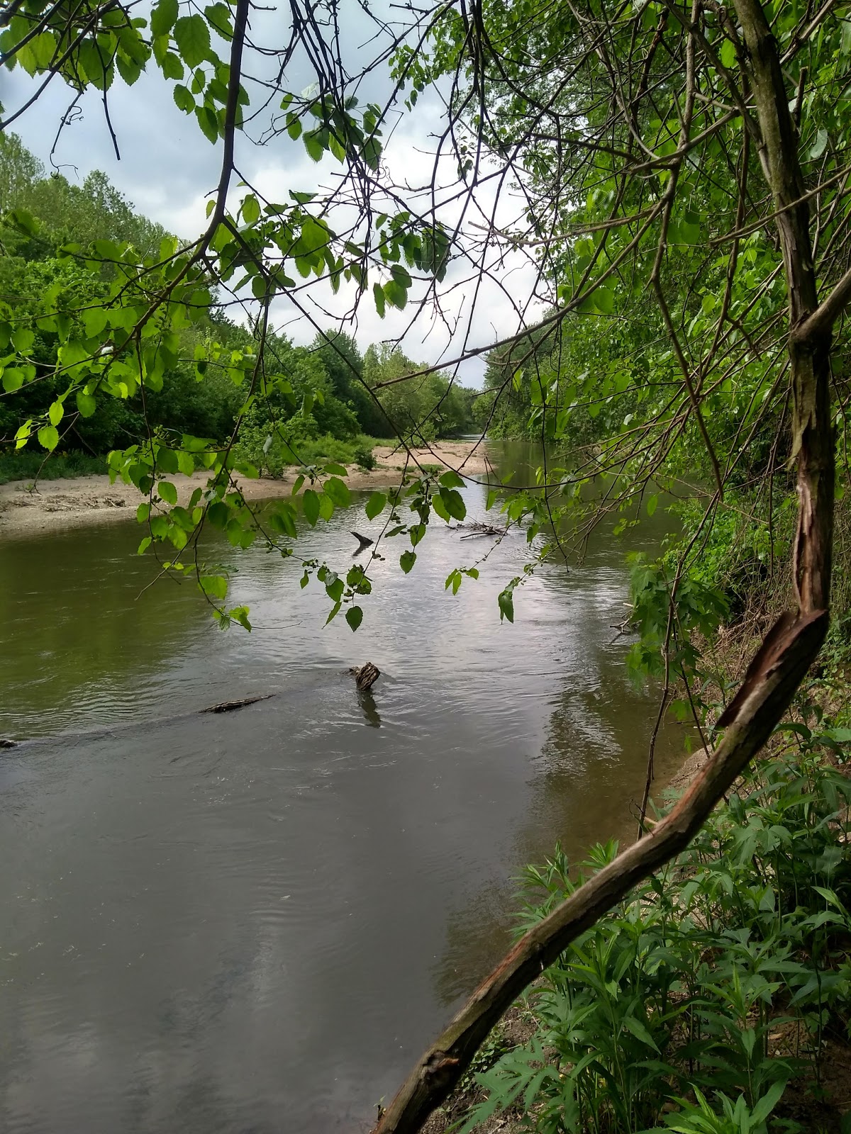 Lt. Grade Graham Edward Martin Park