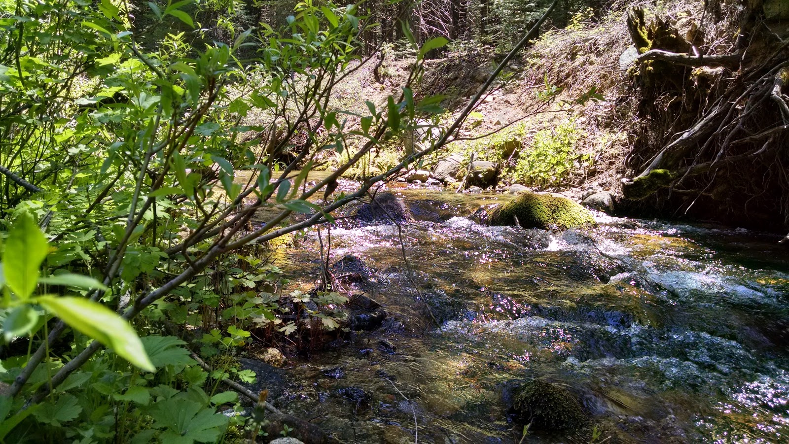 Texas Flat Group Campground