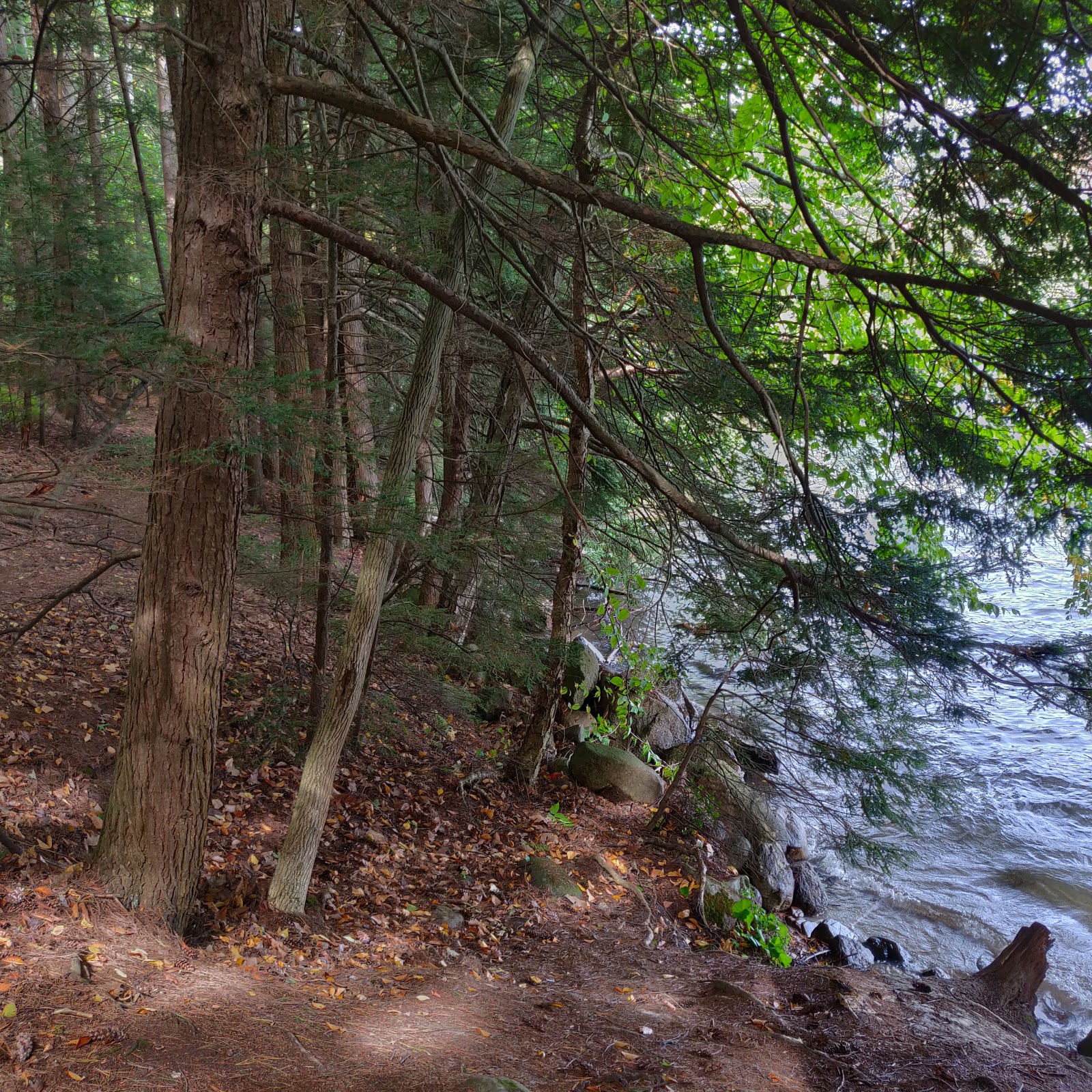 Rogers Rock Adirondack Preserve