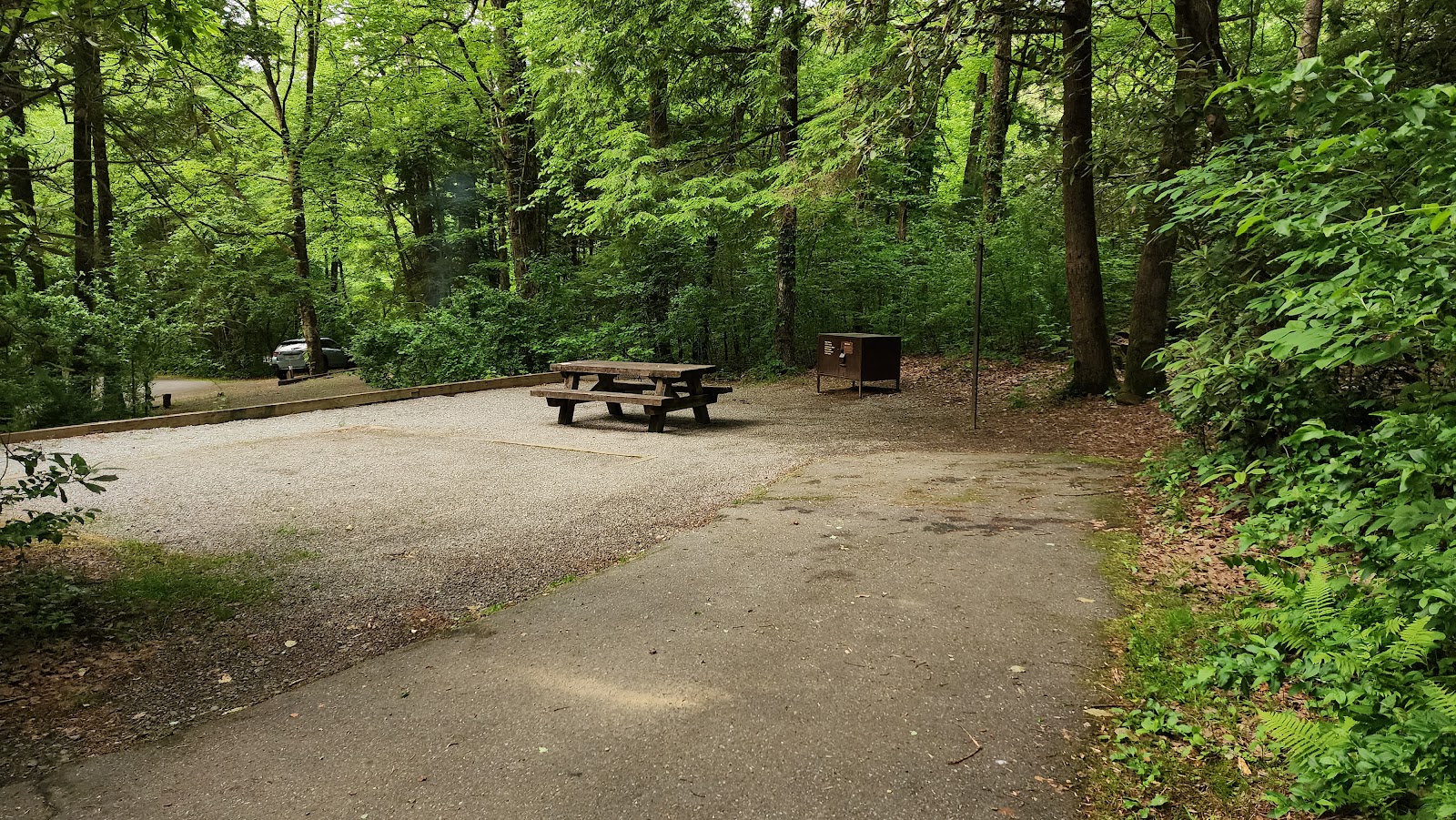 North Mills River Camping