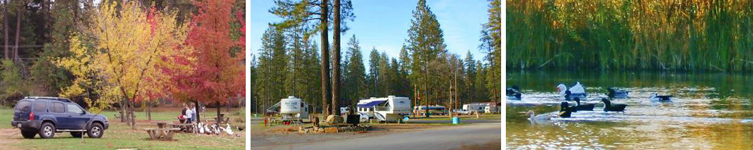 Nevada County Fairgrounds RV Park