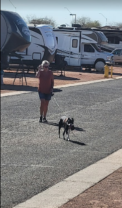 Cotton Lane RV & Golf Resort (55+ park)