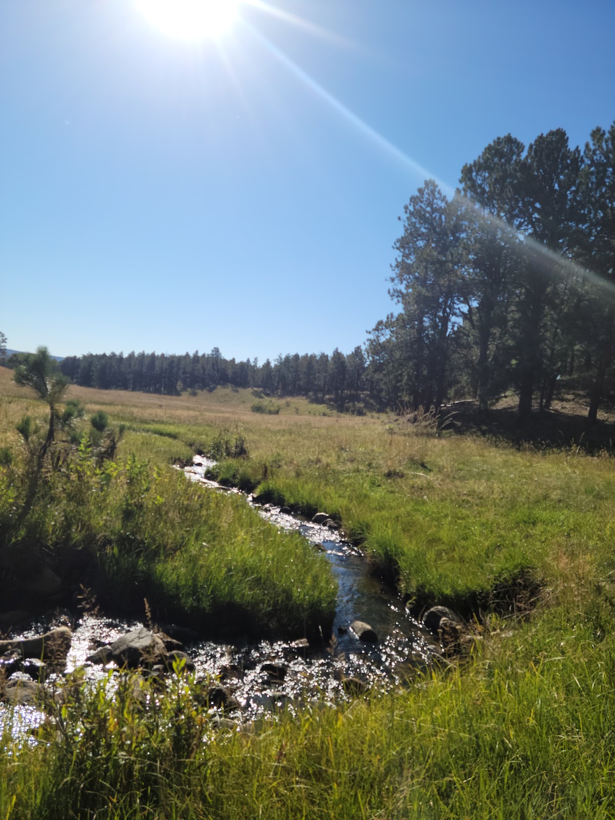 Mccrystal Campground