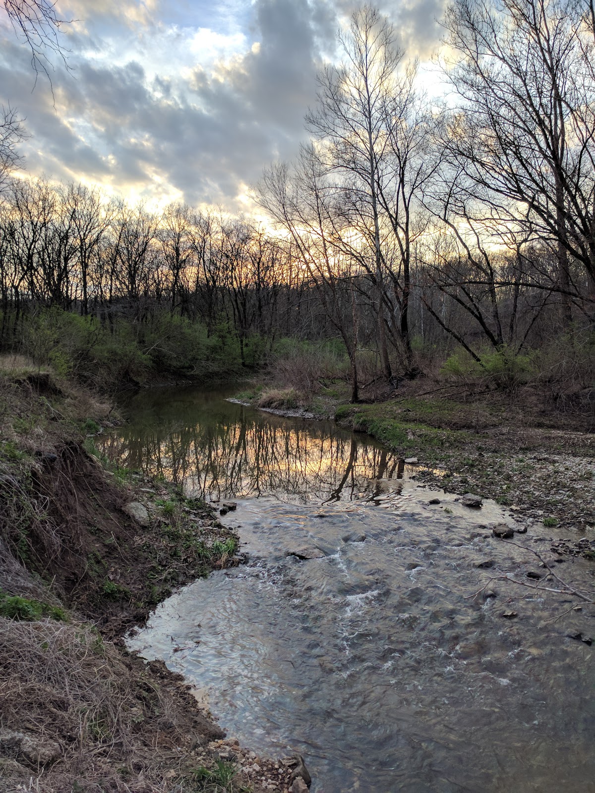 Weinberg-King State Park Fish and Wildlife Area