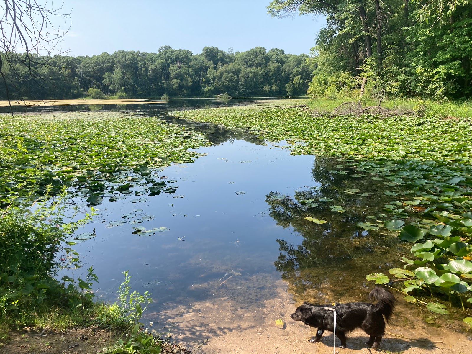Lebanon Hills Regional Park