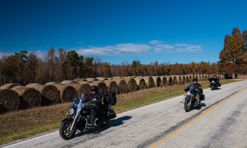 Growl and Lasso - Bear Creek Growl