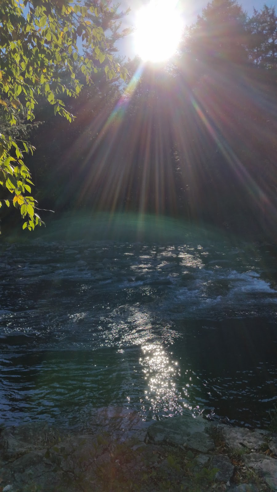 Oak Valley Campground