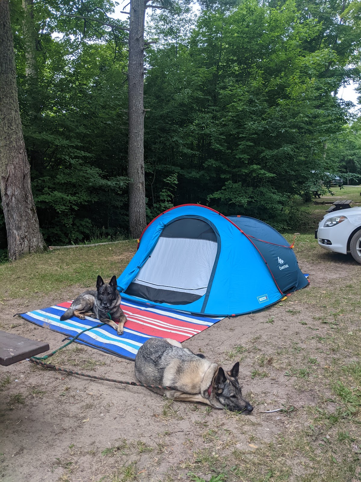 Ross Lake SF Campground