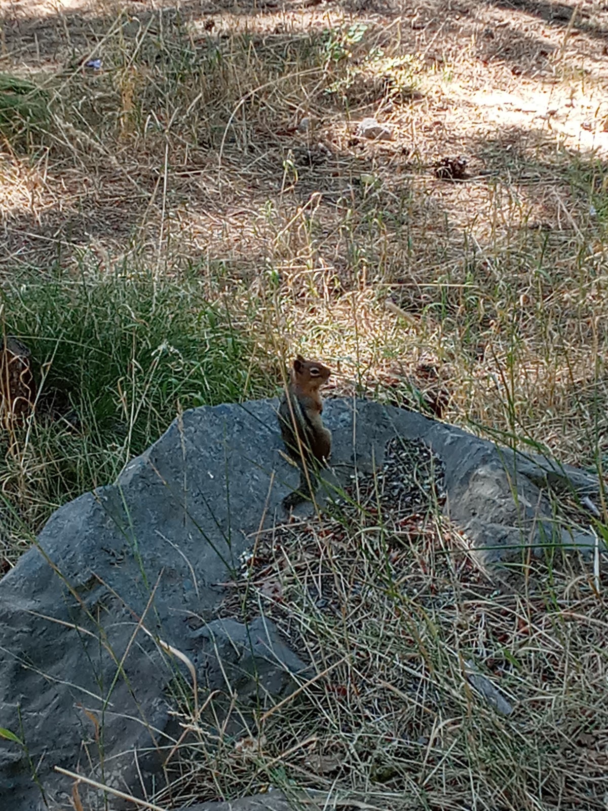 Peninsula Campground