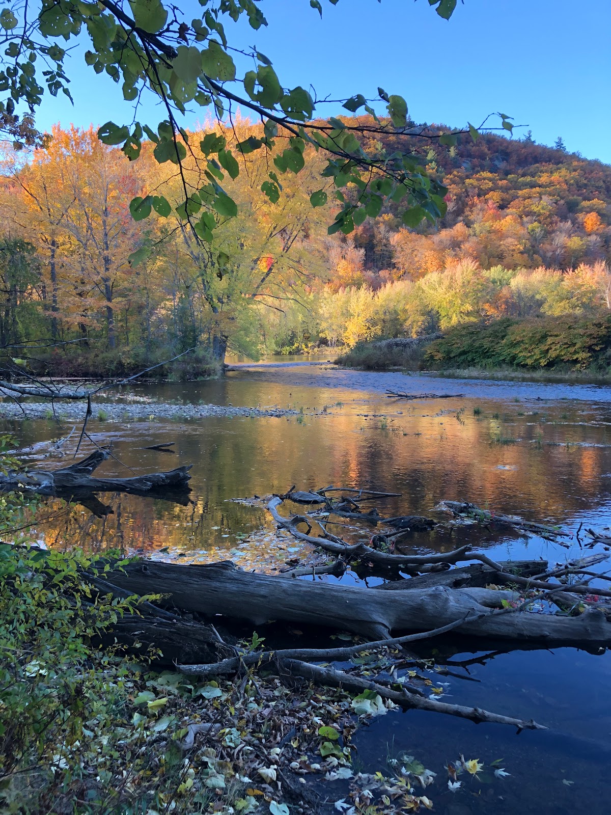 White Birches Camping Park