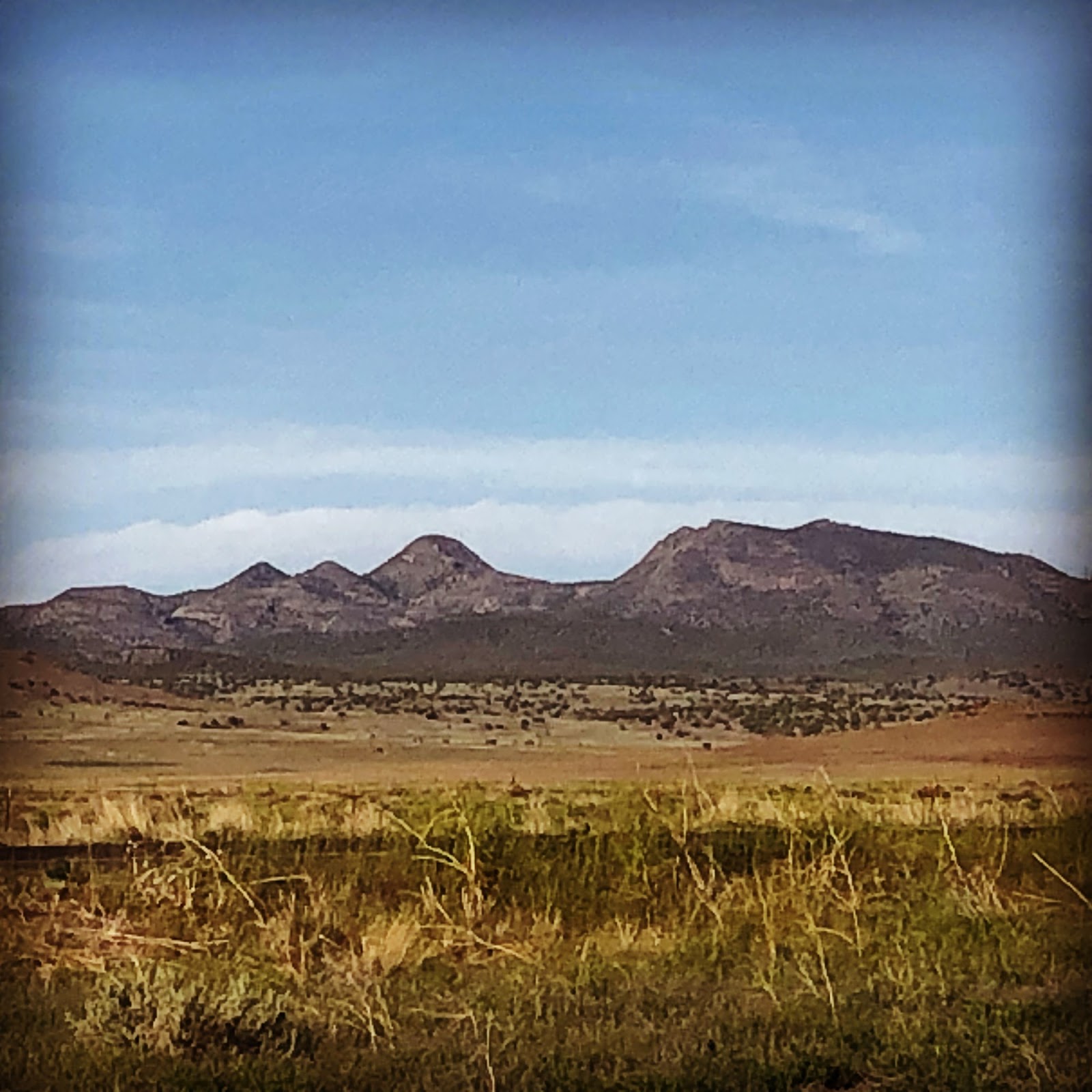 Seligman/Route 66 KOA