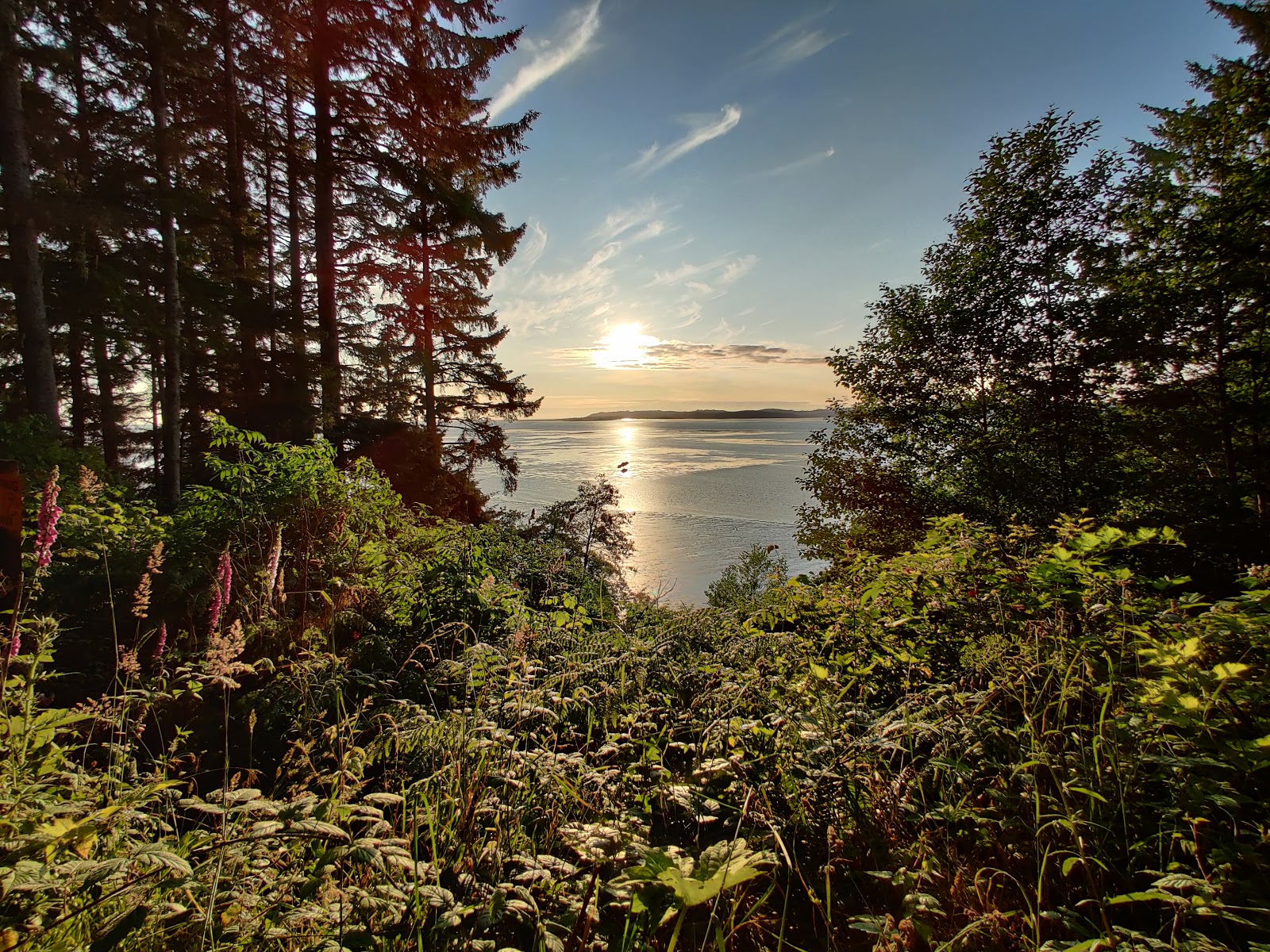 Bruceport County Park Camping