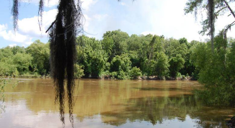 Ocmulgee WMA Camping