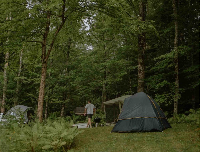 Camp Plymouth State Park