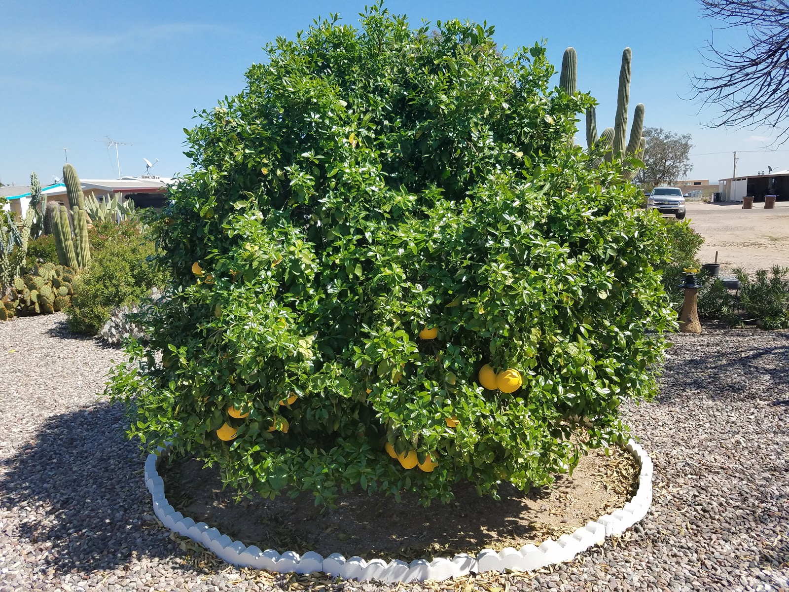 Tierra Del Sol RV Resort