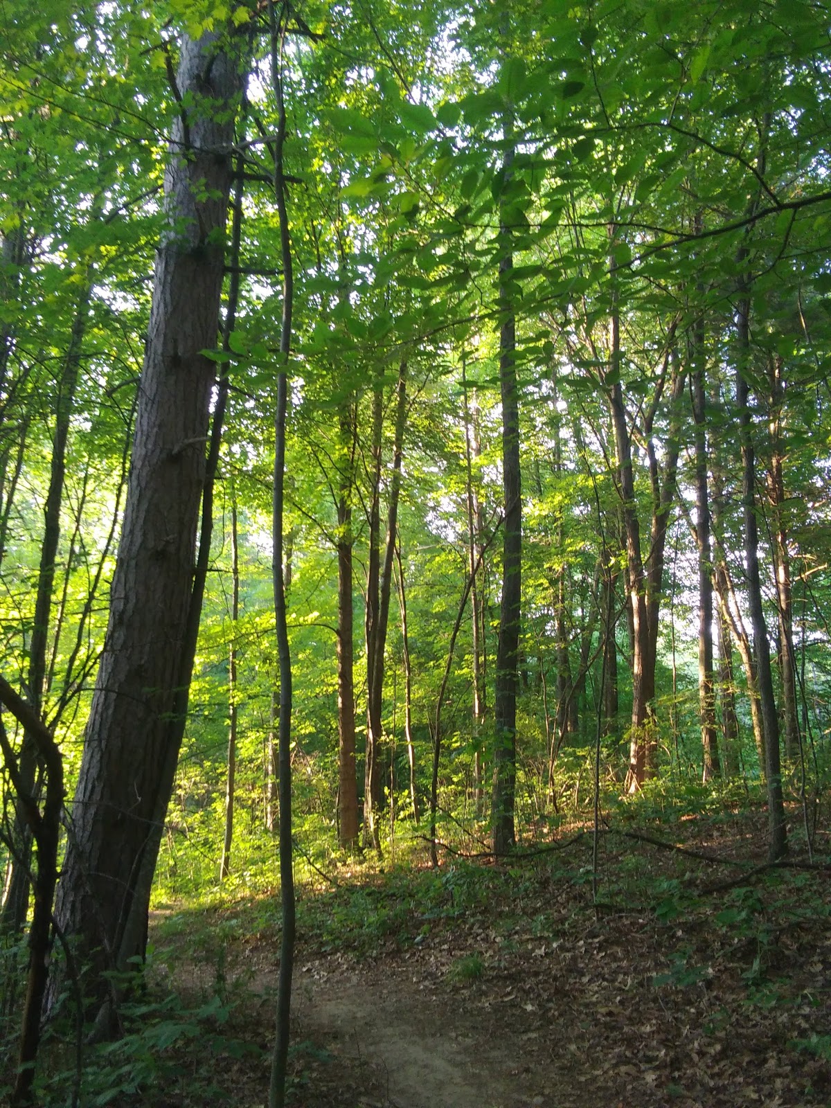 Metamora-Hadley Recreation Area