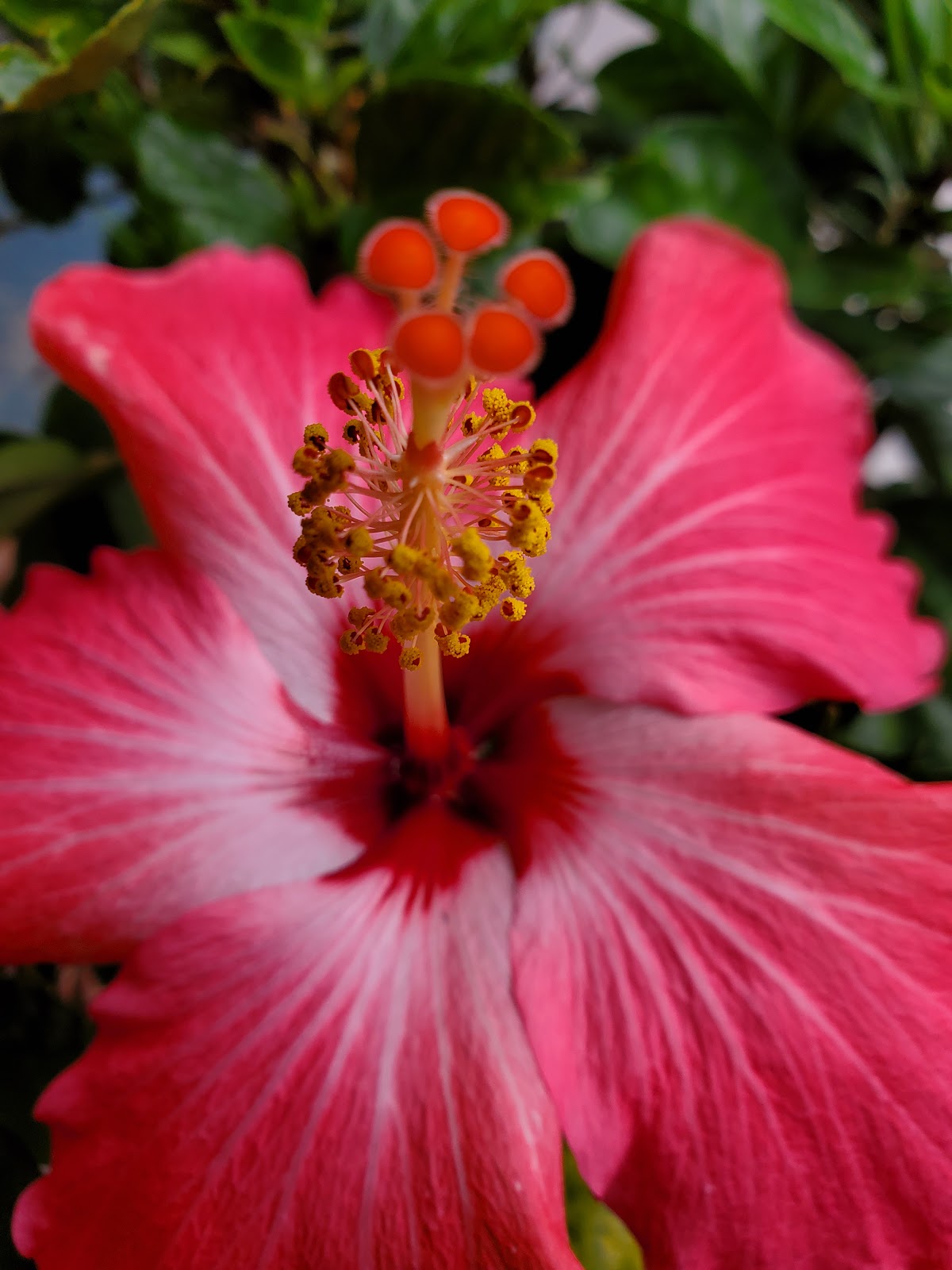 McDermott’s Lakefront Campground