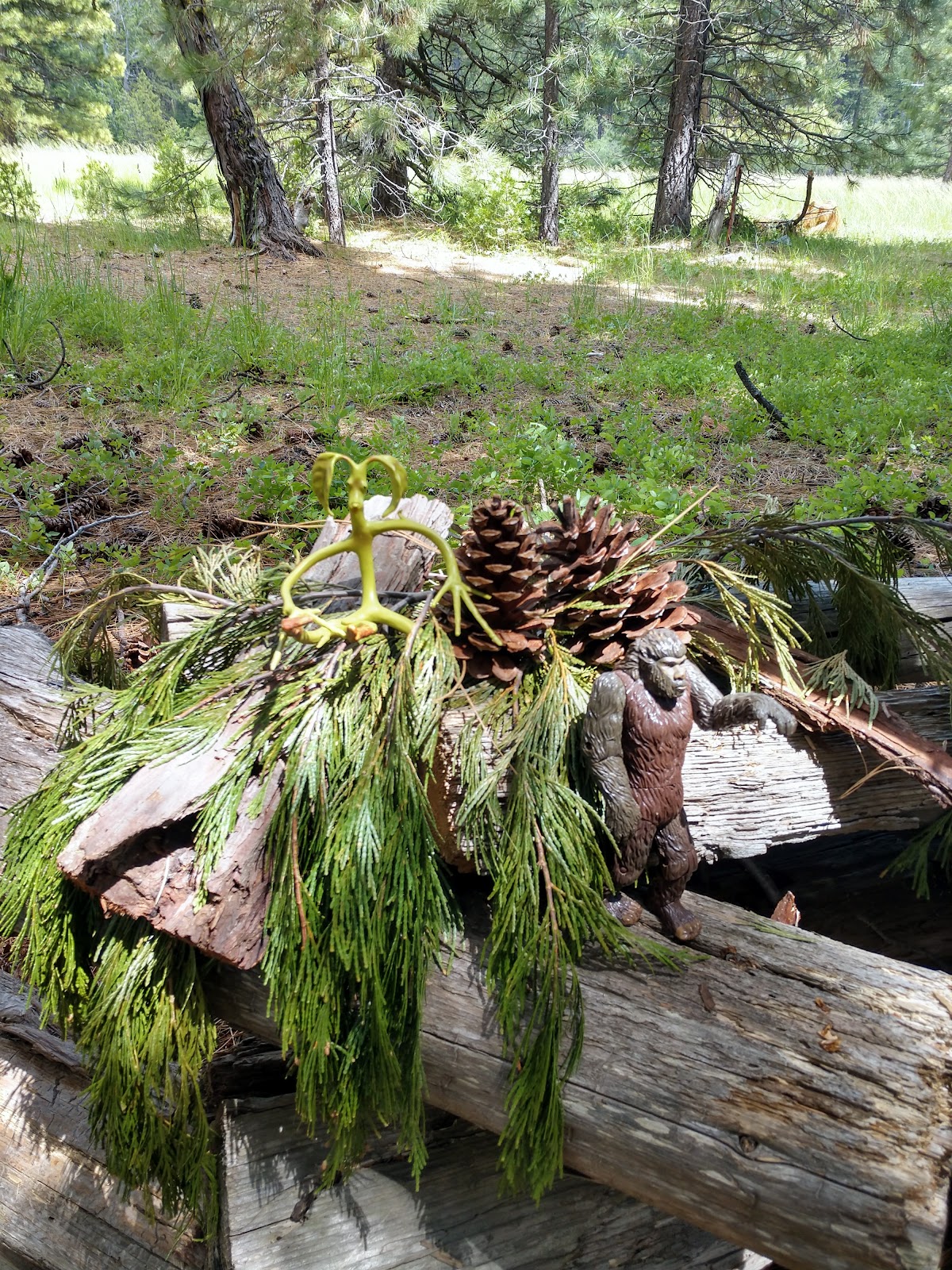 Volcano Country Camping and RV