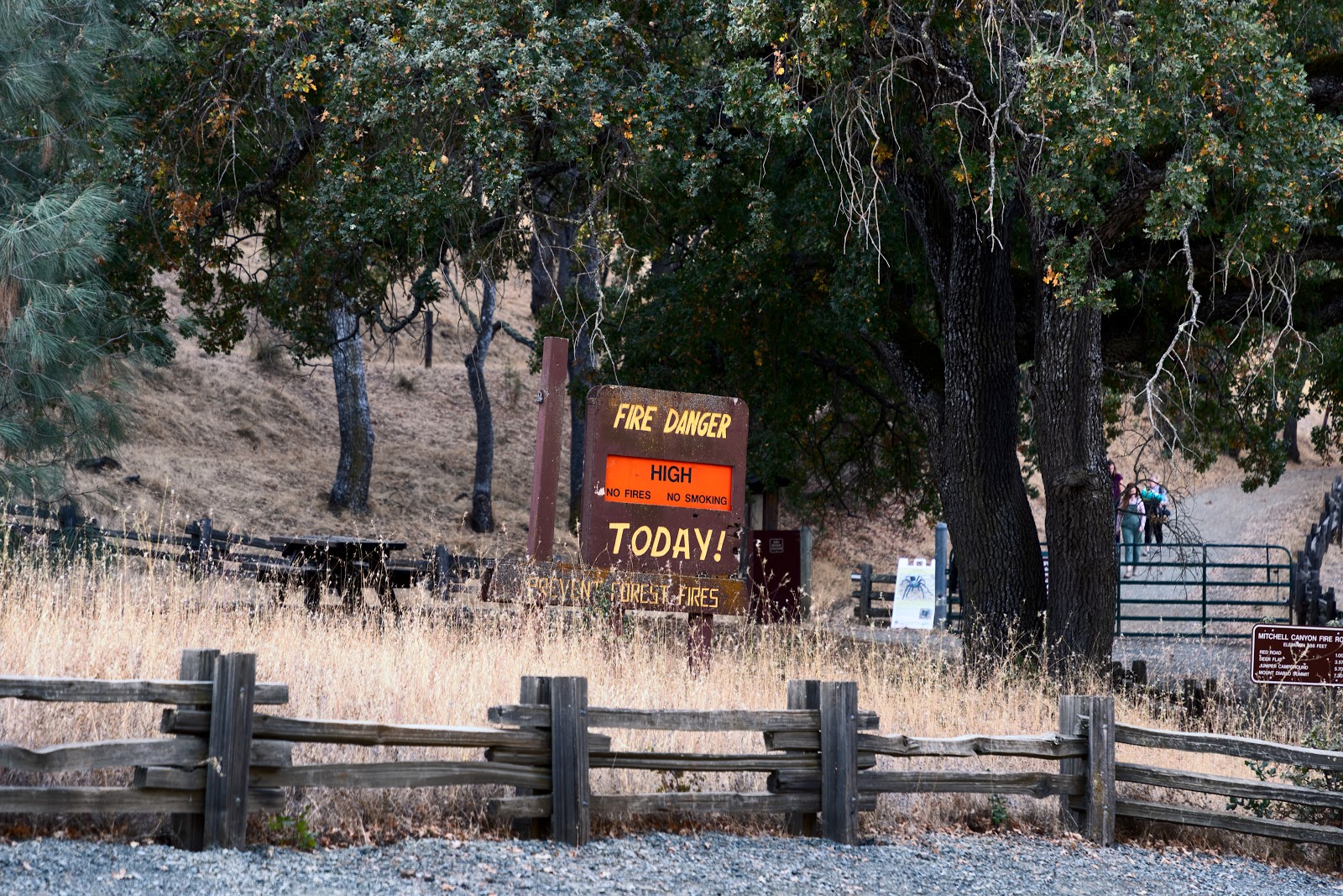 Junction - Mt Diablo State Park