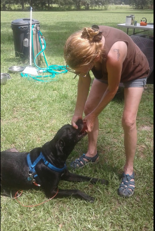 River Run Campground