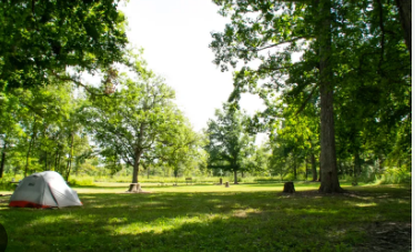 Middle Fork SFW Equestrian