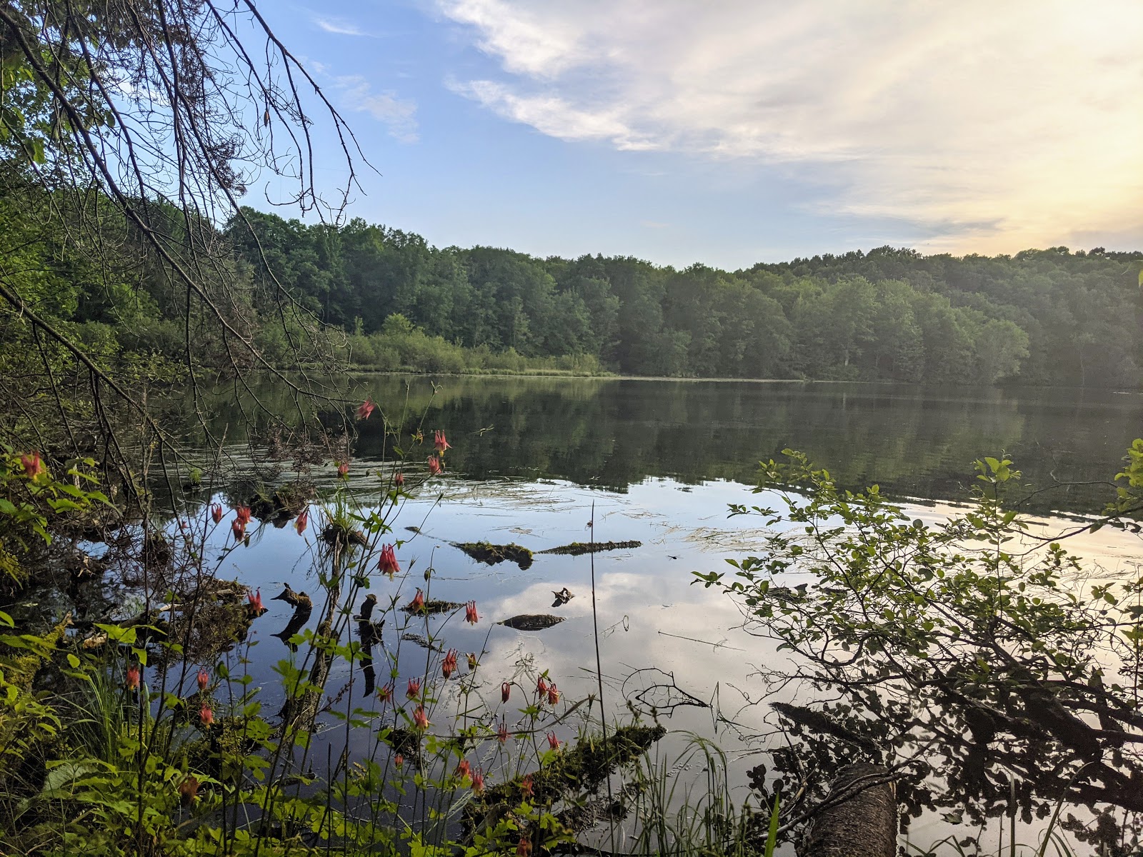Eastwood NF Campground