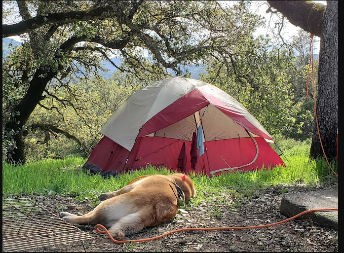 Liberty Glen Campground