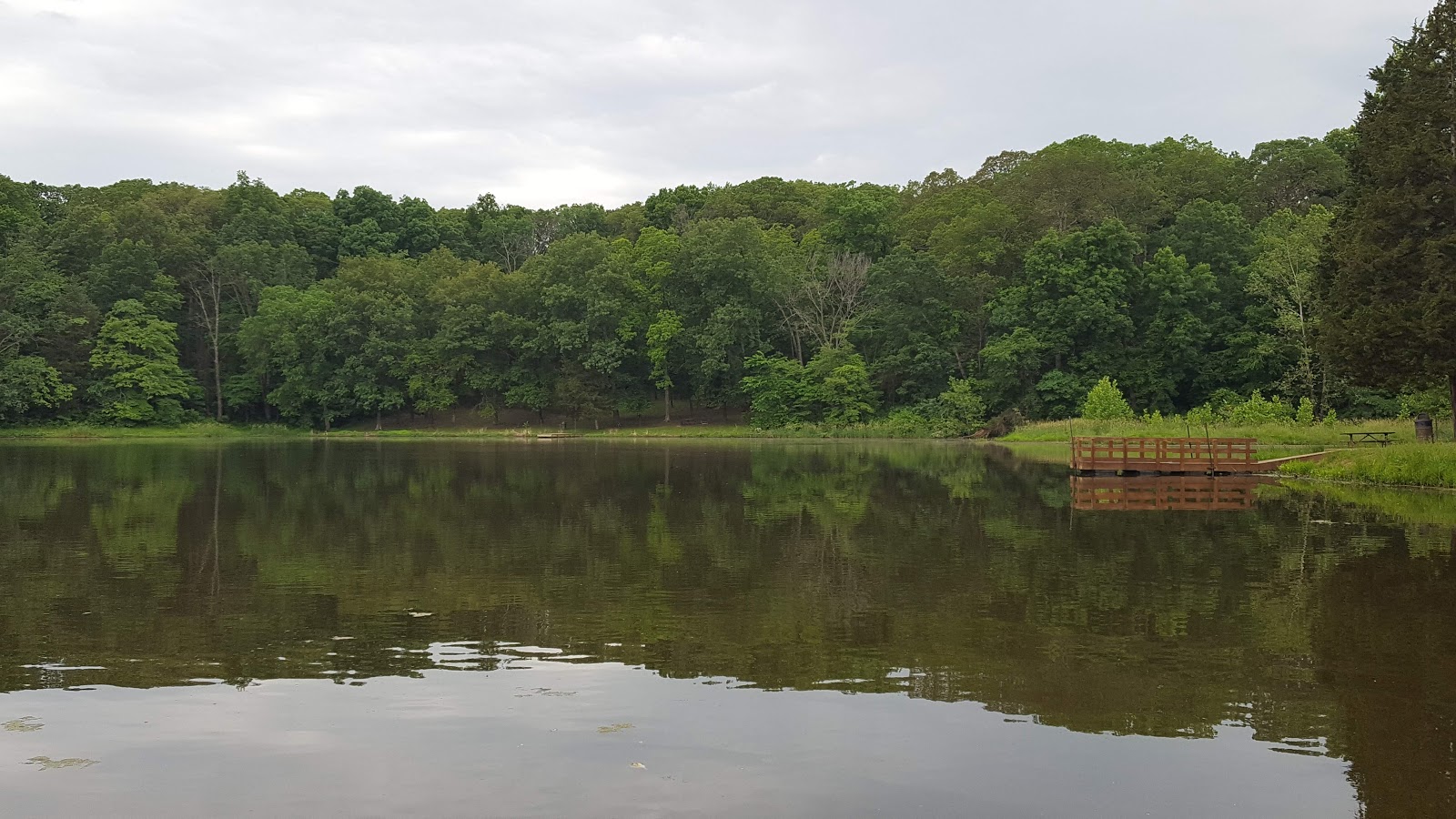 Pine Ridge - Randolph County SRA