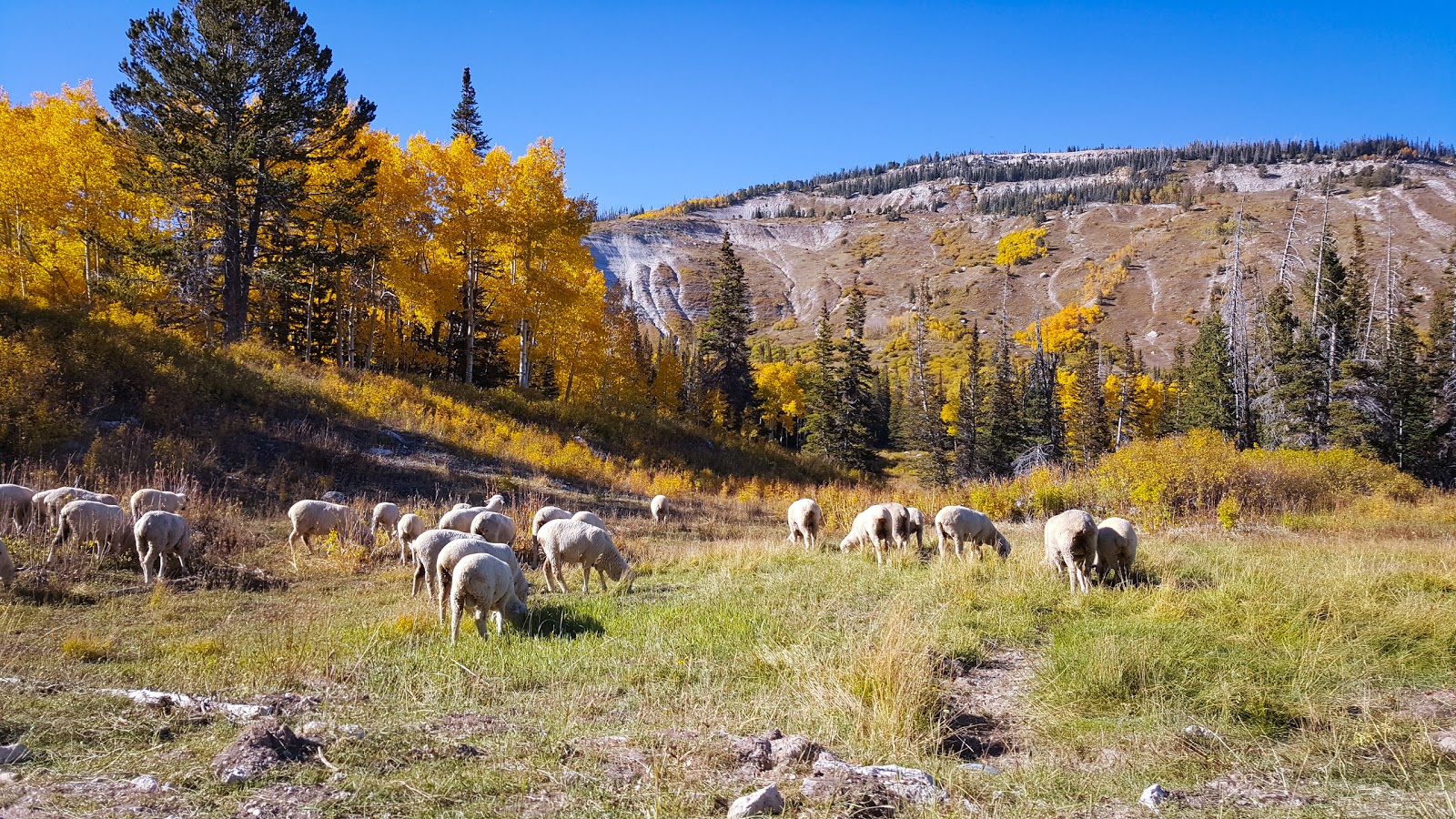 Indian Creek Group Campground