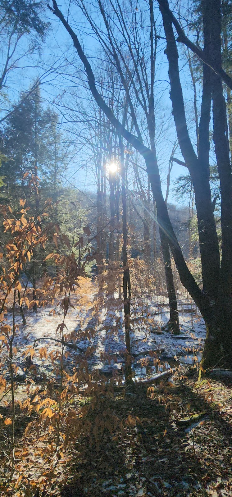 Allegany State Park (Red House Area)