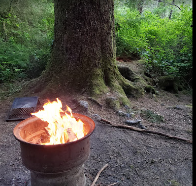 Mystic Forest RV Park