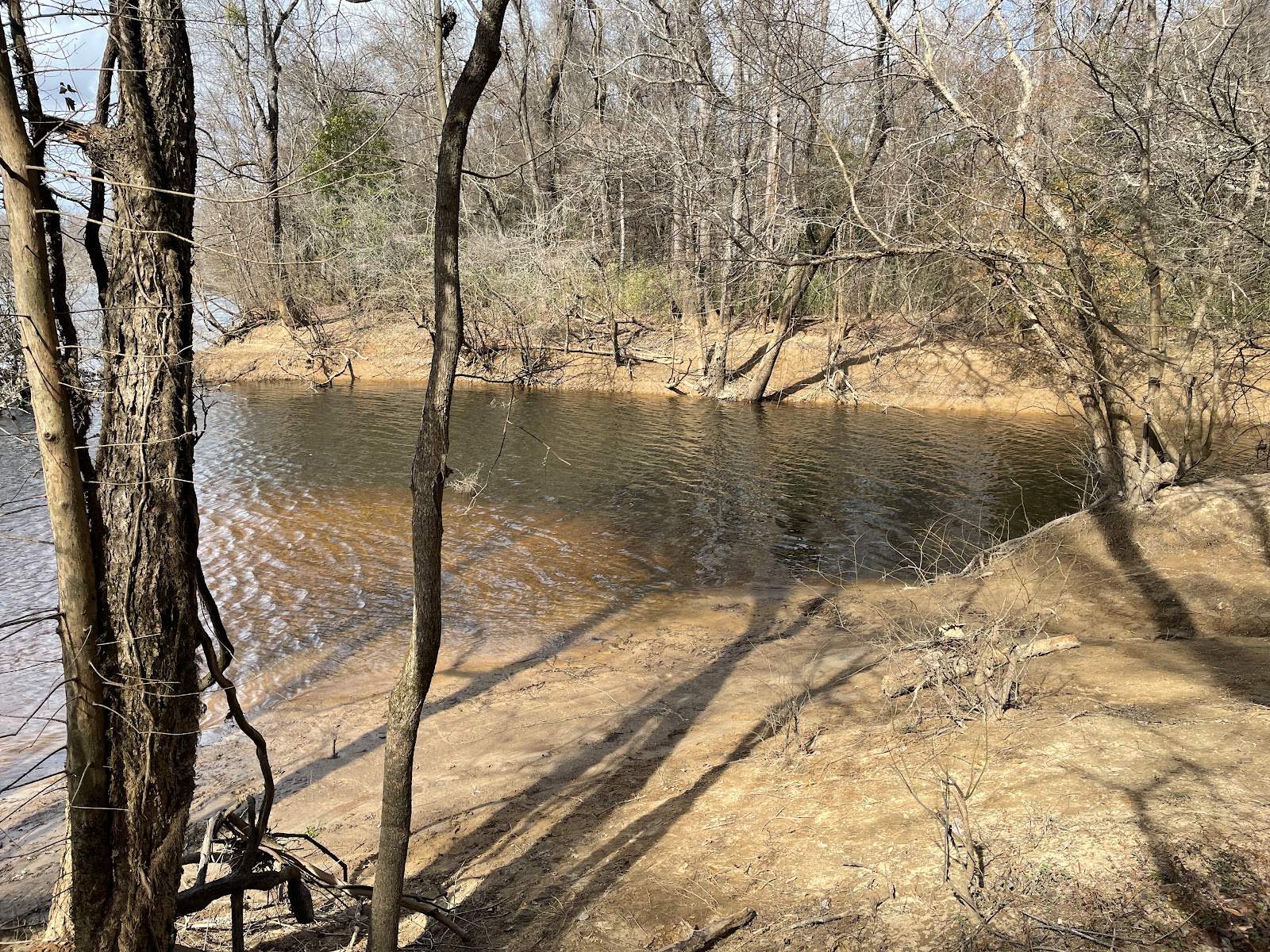 Marsh Wildlife Management Area